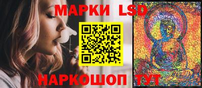 индика Пенза