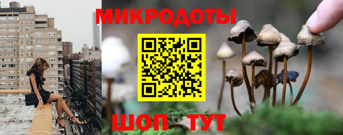 Вышний Волочёк  Галлюциногенные грибы Psilocybine cubensis  что такое наркотик  Вход с VPN  Псилоцибиновые грибы Cubensis 