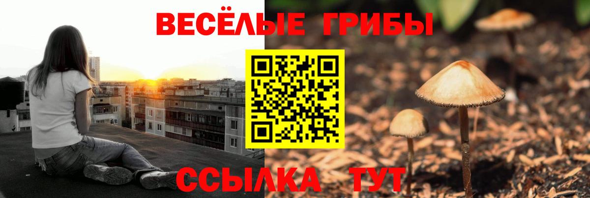 Галлюциногенные грибы ЛСД Вышний Волочёк